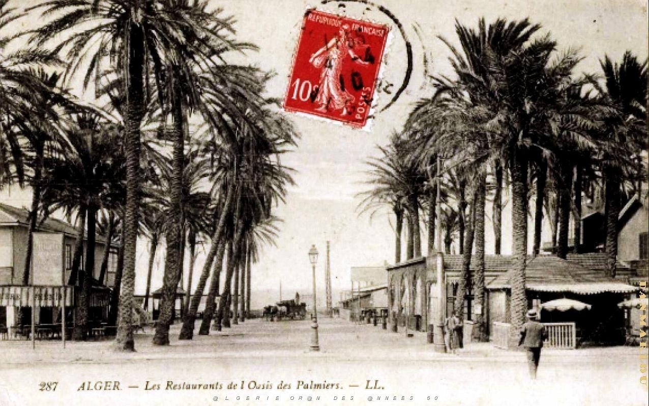 Alger - Oasis des Palmiers - Restaurants - 1910.jpg
